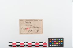 Etiketten zu Eisenhalsreifen (NHMW-PRAE-024274)